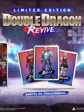 Double Dragon: Revive édition limitée