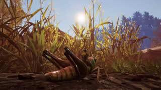 Capture 4 de Smalland: Survive the Wilds