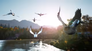 Capture 4 de Hunting Simulator 2