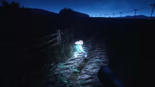 Capture 3 de They Are Here: Alien Abduction Horror