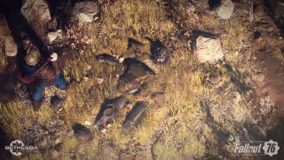 Capture 4 de Fallout 76