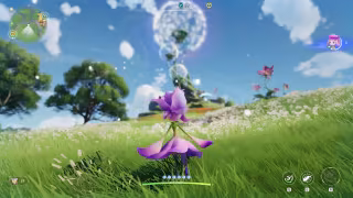 Capture 1 de Aniimo