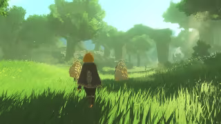 Capture 2 de Hyrule Warriors: Age of Imprisonment