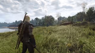 Capture 6 de The Witcher 3