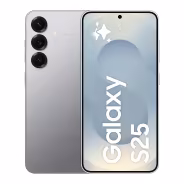 Samsung Galaxy S25 5G 128 Go Gris