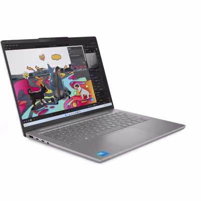 Lenovo IdeaPad Slim 5 14IMH10 (83V6000SFR)