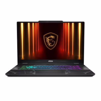 MSI B2RWFKG-060FR Core 7 240H / RTX 5060 (17,3″, 32 Go, 1 To)
