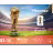 Hisense 65A6Q LED 65″ 4K